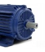 SILNIK ELEKTRYCZNY 5,5KW 380V 1450rpm KD1819